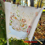 Baumpflanzaktion – „Hier wächst Zukunft“