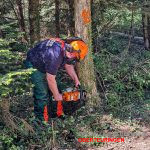 Erfolgreich abgeschlossener Kettensägenlehrgang! 🪵🌲
